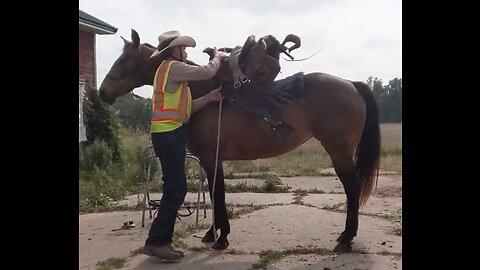 Faith - First Ride Assessment - 16 June 2023