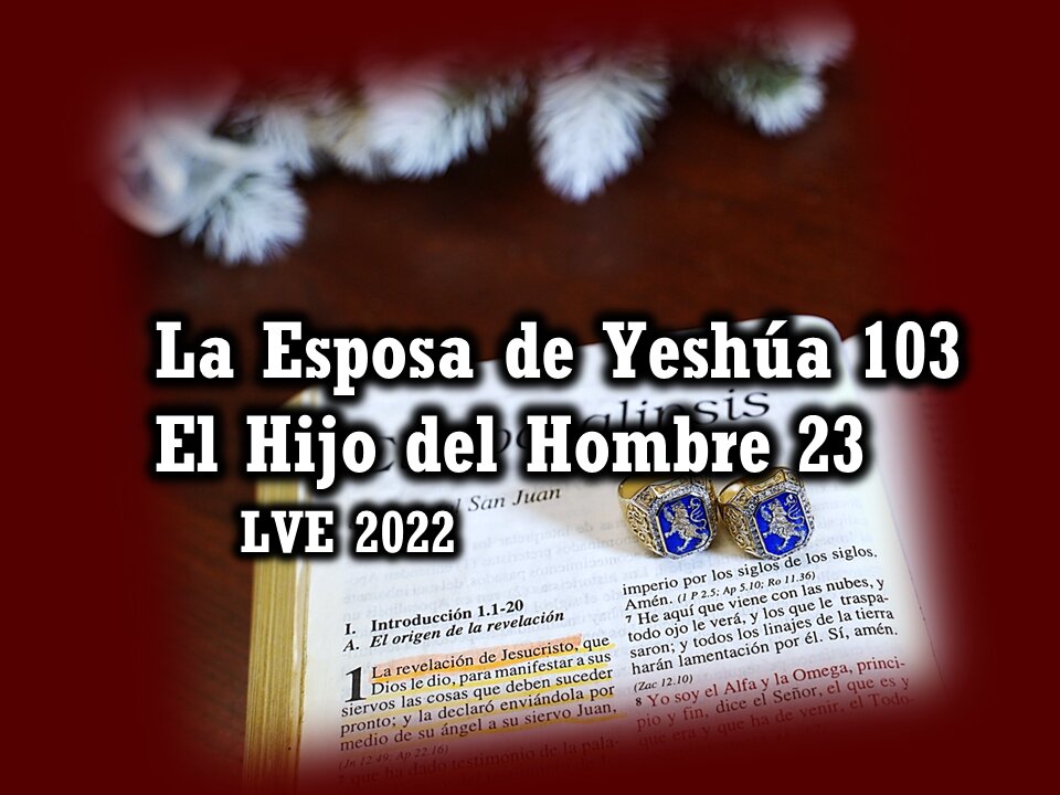 La Esposa de Yeshúa 103 - El Hijo del hombre 23