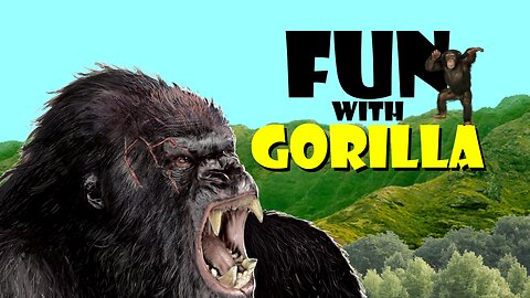 😂Gorilla Fun 🦍