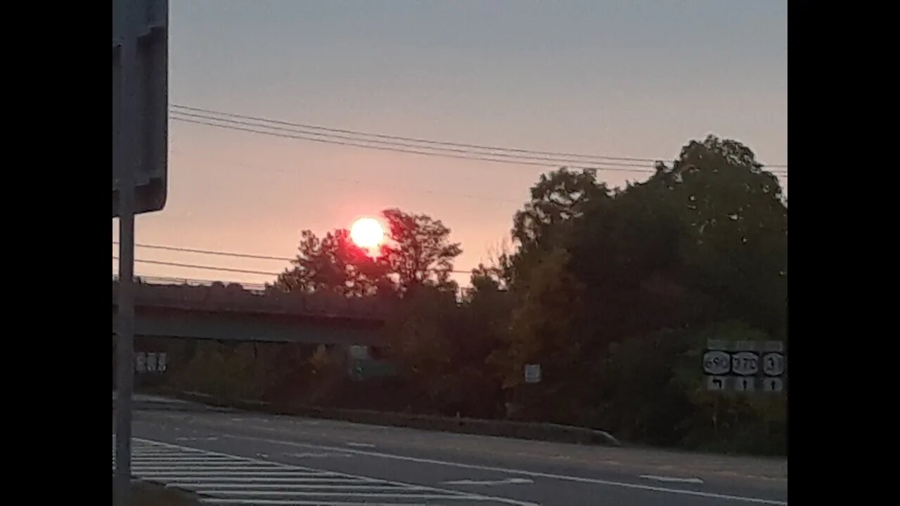 The start of soybeans 2020