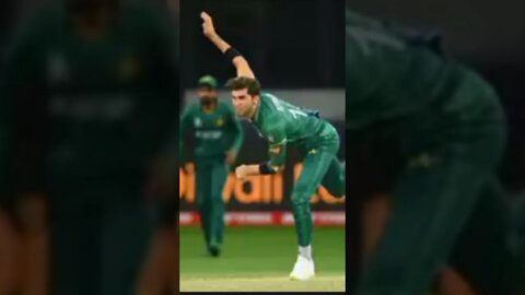 Shaheen Afridi ruled out of Asia Cup and England series due to knee injury