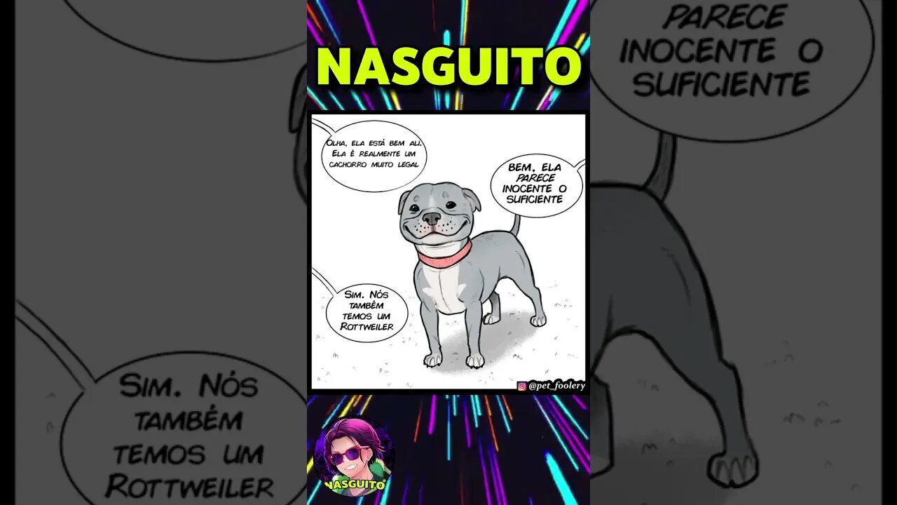 UM PIT BULL, UM ROTTWEILER E UM DOBERMANN