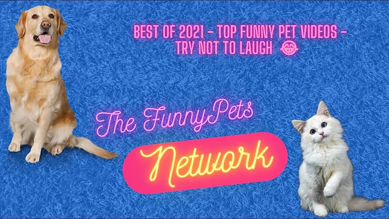 Best Of 2021 - Top Funny Pet Videos - TRY NOT TO LAUGH :D