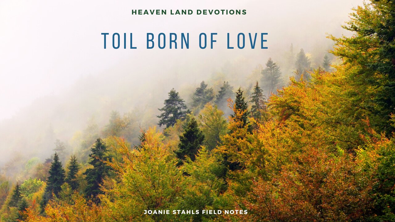 Heaven Land Devotions - Toil Born Of Love