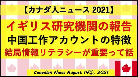 中国工作員アカウントの実態・特徴 結局は個人の情報リテラシーが重要ですね