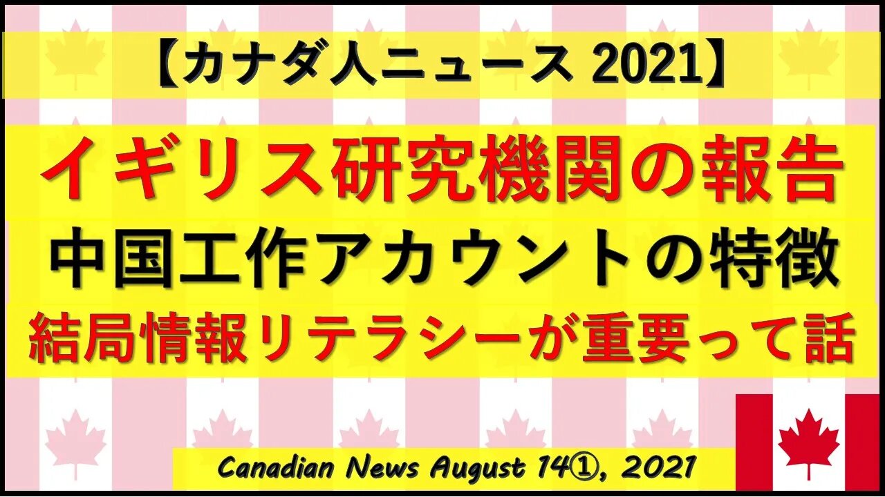 中国工作員アカウントの実態・特徴 結局は個人の情報リテラシーが重要ですね