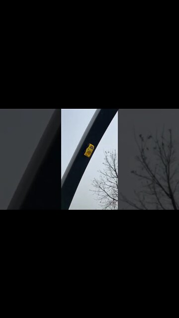 #shorts #2022 funny,prank,funjokes,dad jokes,funny memes,funny video,fun,laughing,funny animal,knock