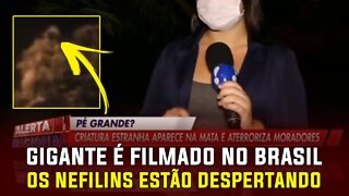 Gigante aparece no Brasil, seria um pé grande? ou será um Nefilim? Sobrenatural, UFO OVNI