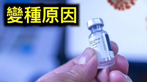 💥小針針💥導致病毒變種——愛滋病毒發現者、諾貝爾獎病毒學家警告⚠️打小針針前一定要知道的五件事.