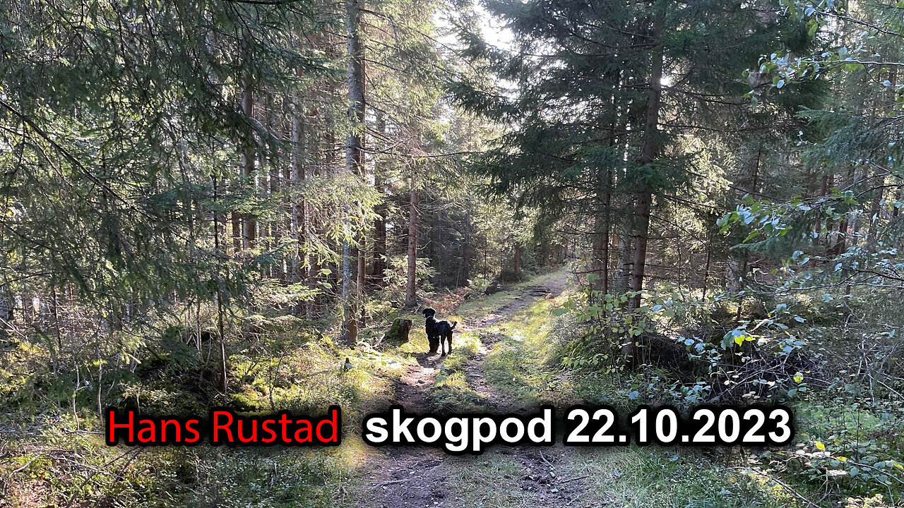 Skogpod 22. oktober 2023