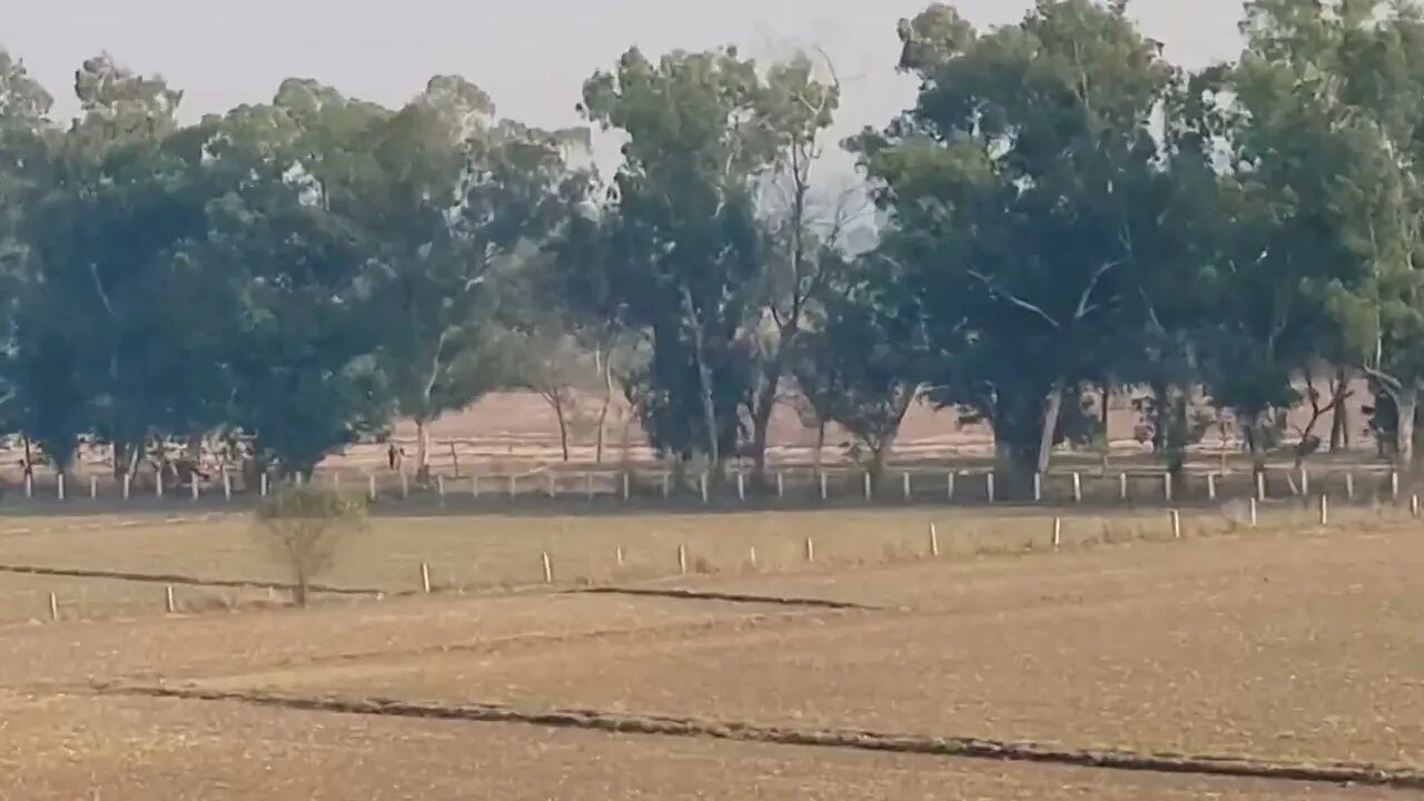 Pakistan and India border line.