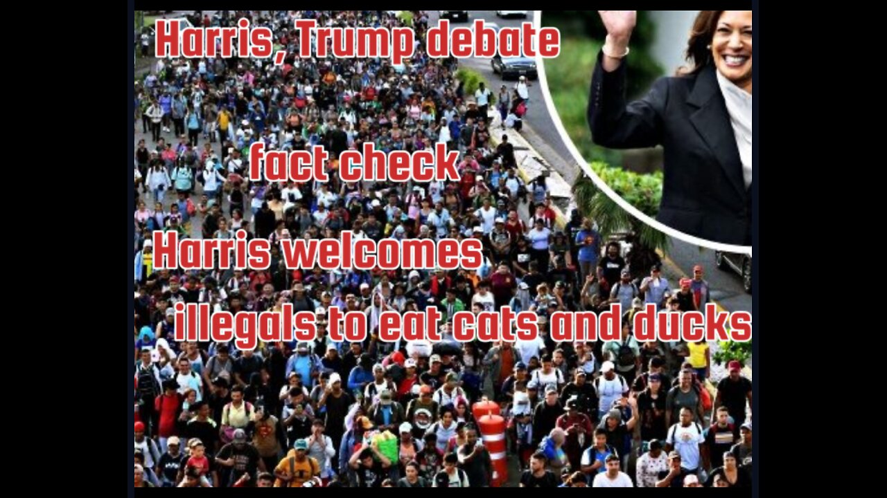 Harris Trump debate fact check Harris welcomes illegals to eat cats and ducks