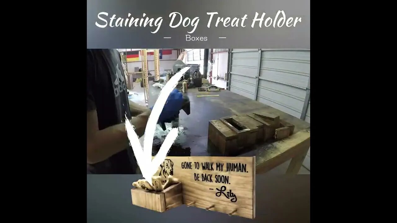Staining Dog treat Holder Boxes