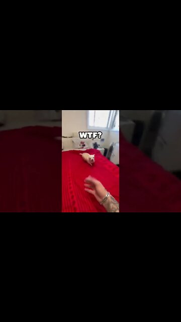 Niki is such a demon 👹