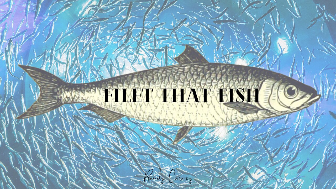 Filet that Fish & Get Rid of the Bones - Editing for Fun and Profit