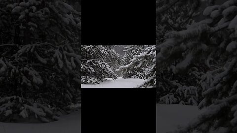 Winter Snow Sound - For Full video Link in the Description