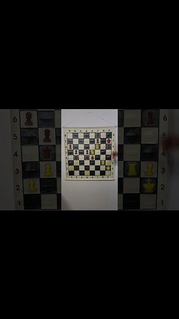 What Does the Arabian Mate Look Like?