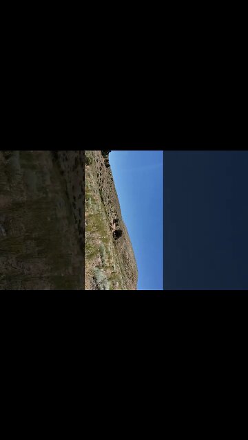 to was a good day out