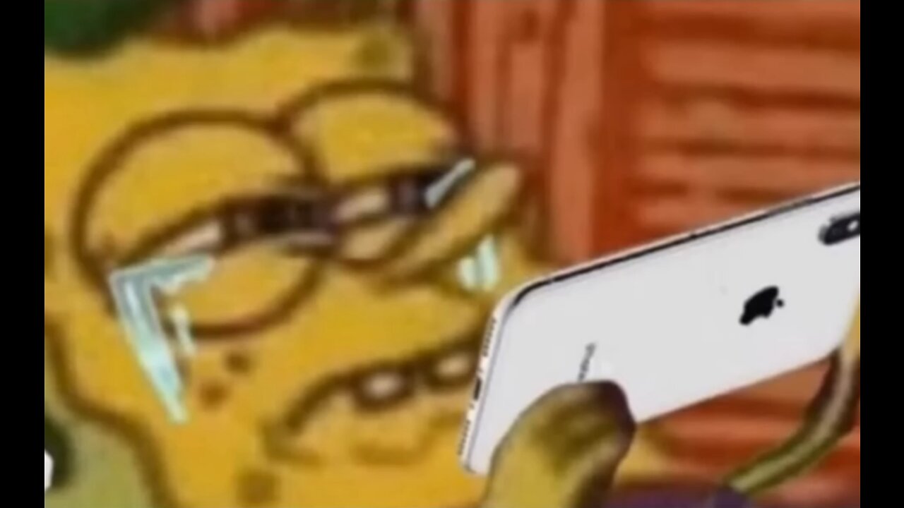 YOUR DAILY MEMES