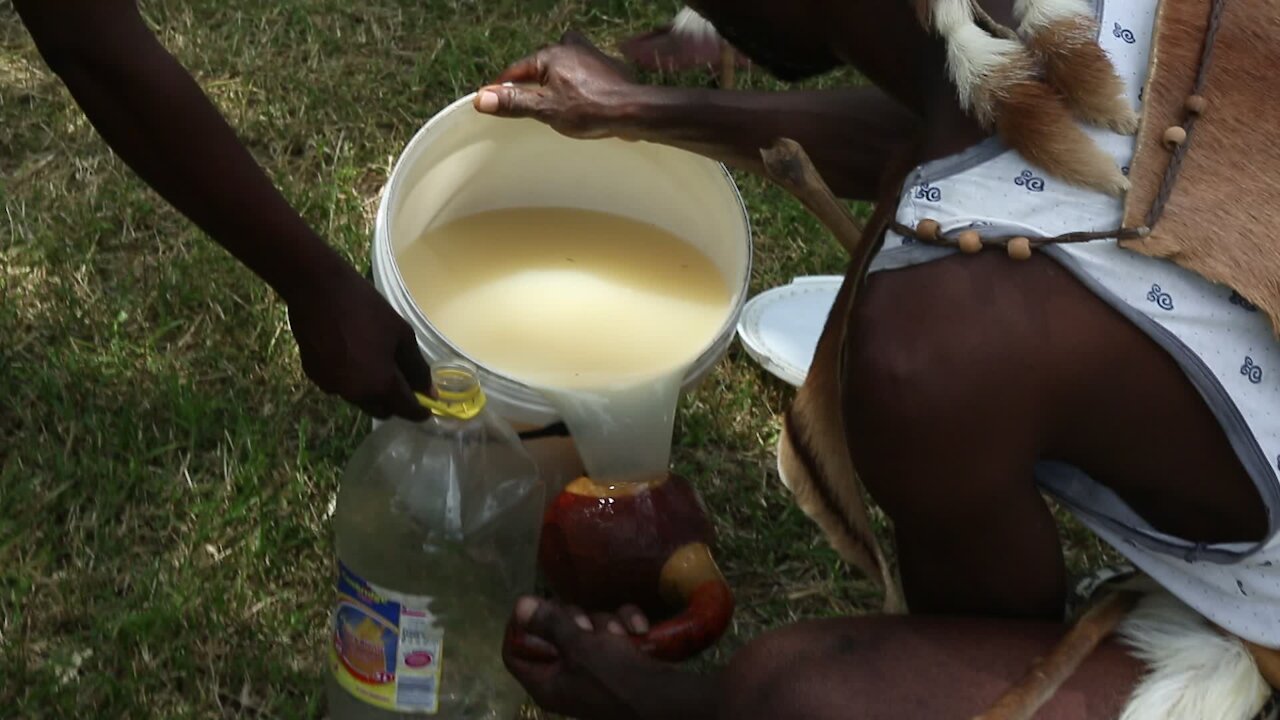 SOUTH AFRICA - Durban - Umthayi Marula Festival (Video) (oTv)