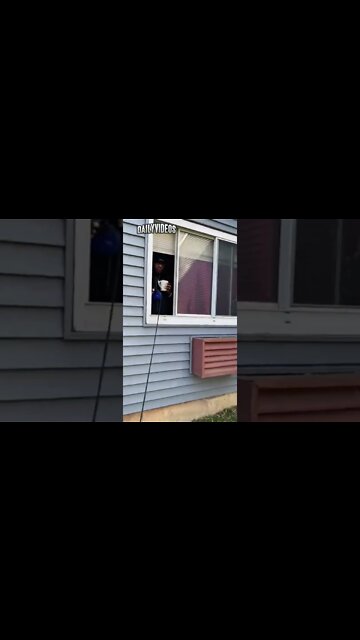 When it's so cold outside 🥶 #funny #dog