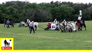 Muley Wagon Race - The 1836 Chuckwagon Races 2022