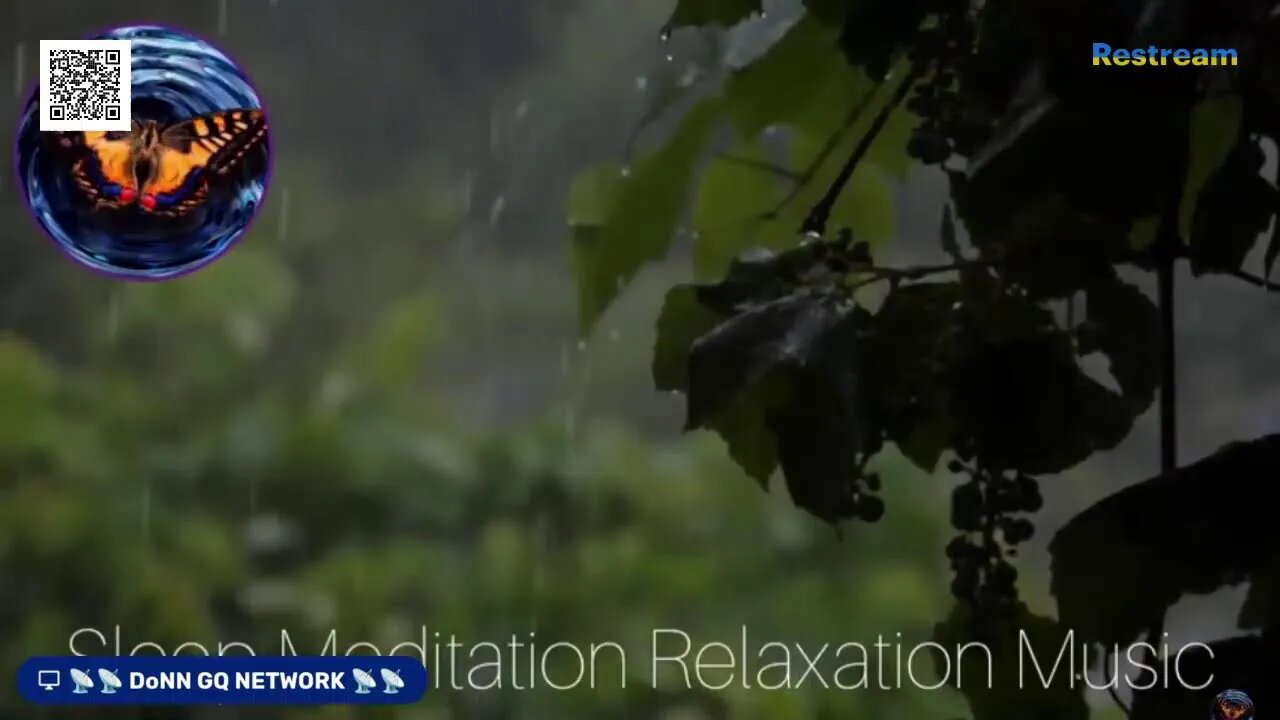 Rain forest Sounds - Sleep Meditation Relaxation Music Worldwide. DoNN GQ NETWORK