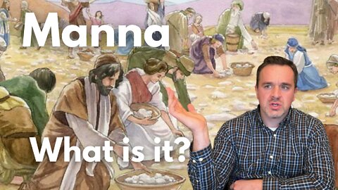 Manna: What is it?