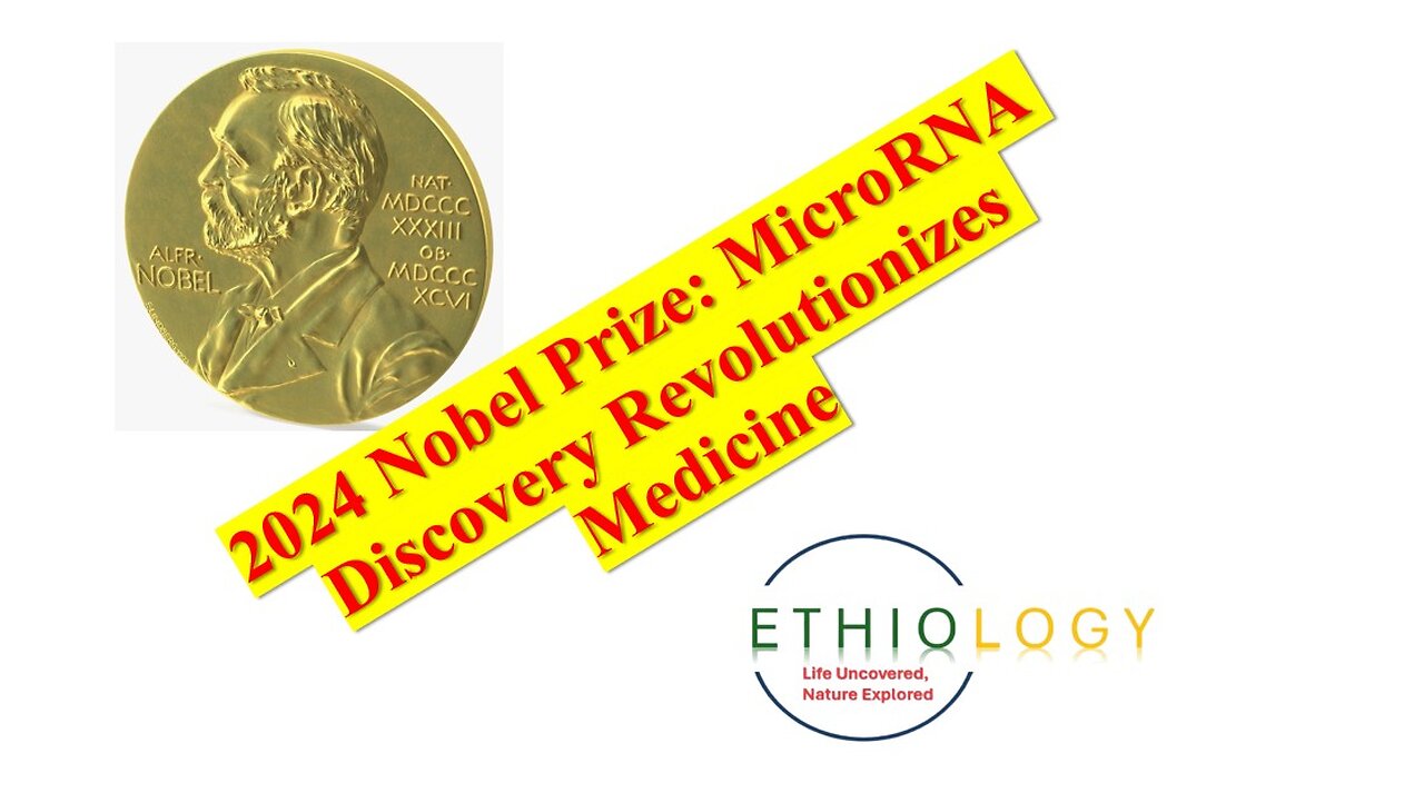 2024 Nobel Prize: MicroRNA Discovery Revolutionizes Medicine