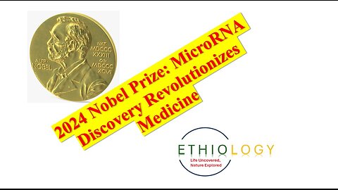 2024 Nobel Prize: MicroRNA Discovery Revolutionizes Medicine