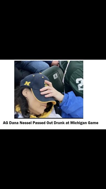 Dana Nessel Michigan Attorney General Torched On Concert Stage