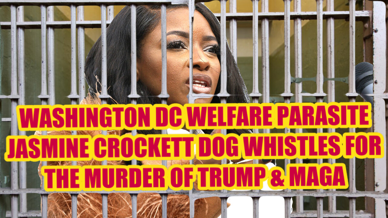 DC Welfare Parasite Jasmine Crockett