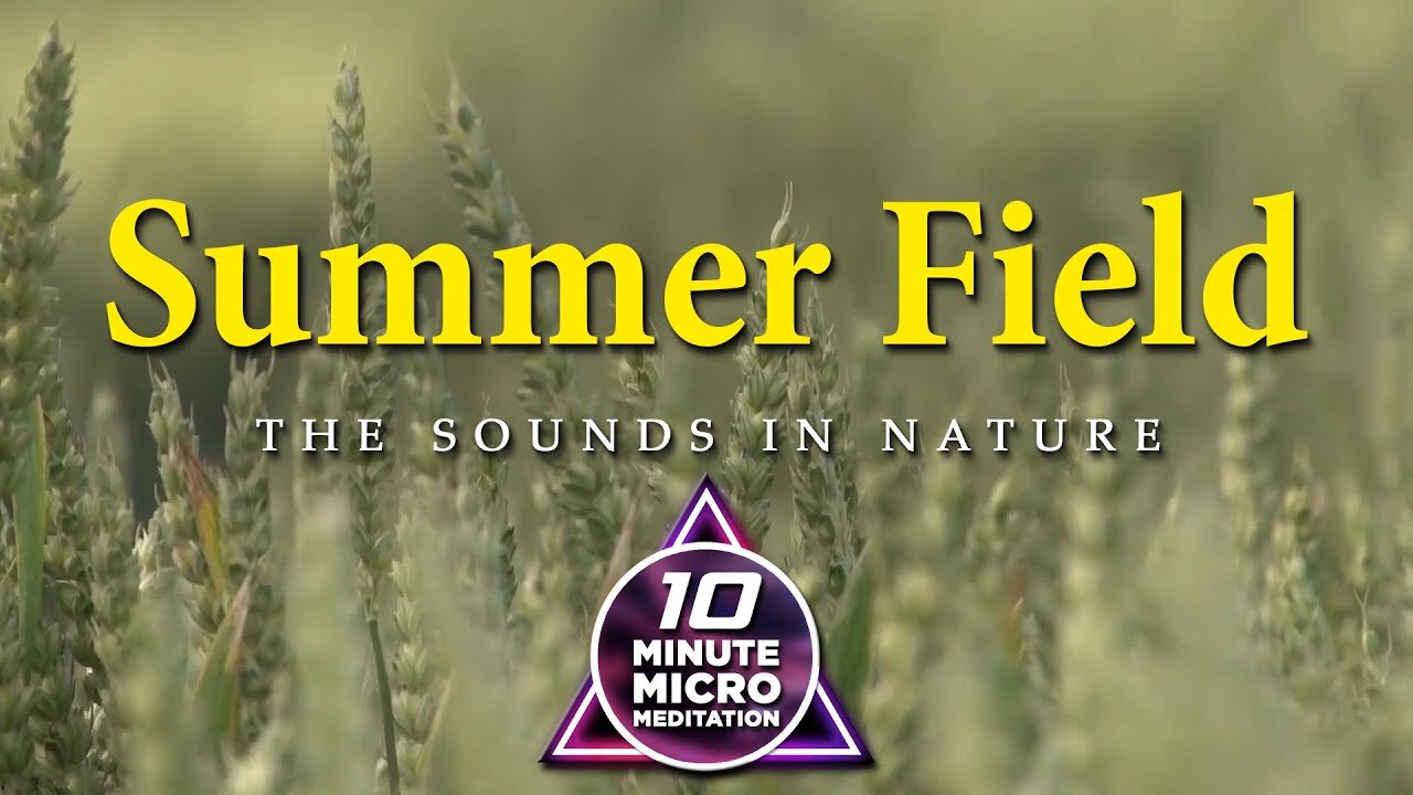 Summer Field - Calm your Mind, Body and Soul with a 10 Minute Micro Meditation