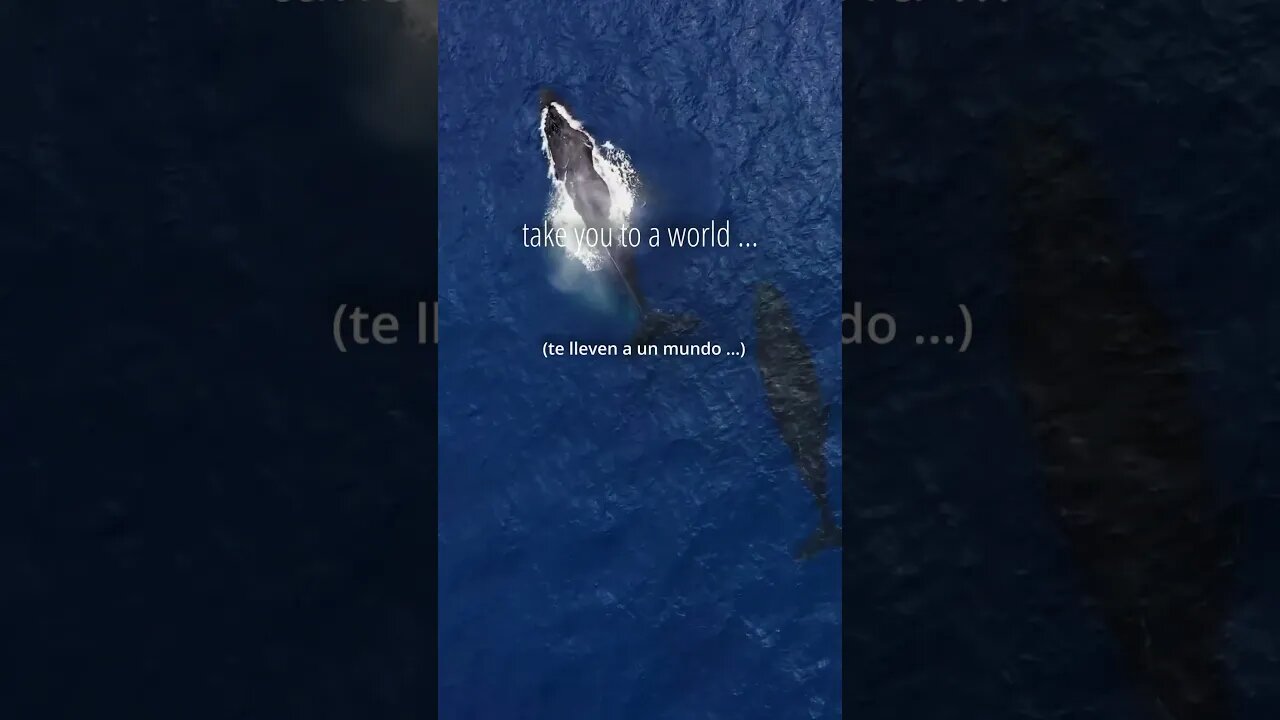 Let the 🎹 rhythmic waves carry you away 🐋 | Relaxing Music | Meditation Music | Sleep Music #shorts