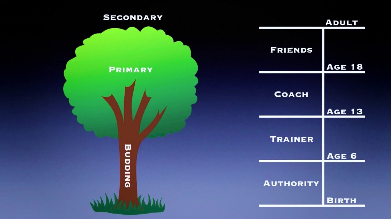 SESSION 6 - The Practice of Ownership