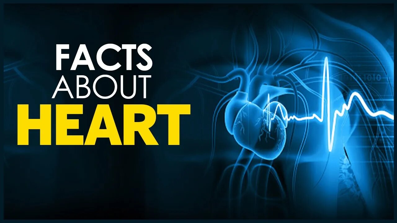 FACTS ABOUT HEART | HUMAN HEART | ANIMAL HEART | HEART DISEASE | HUMAN BODY