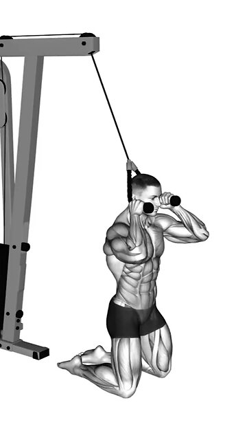 Abdominal Workout Exercises