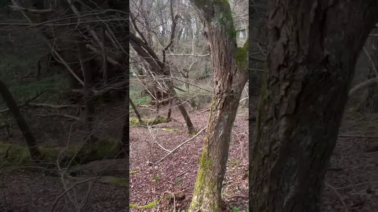 Out in the Green World