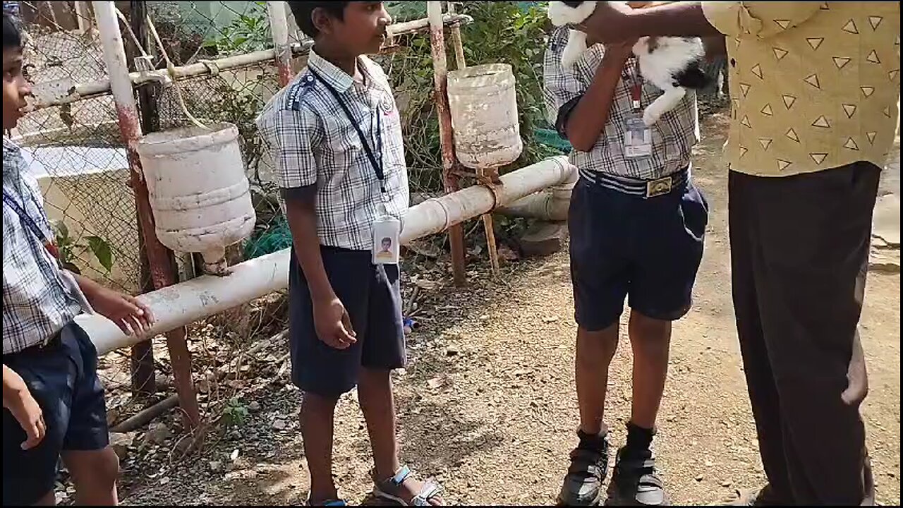 funny video #school drav #short video