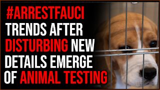 #ArrestFauci Hashtag TRENDS After New Information Emerges About Horrific Animal Testing Fauci Funded