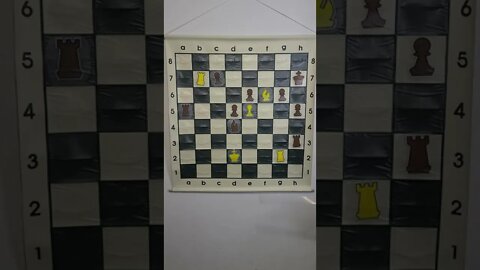 Chess Blooper 4