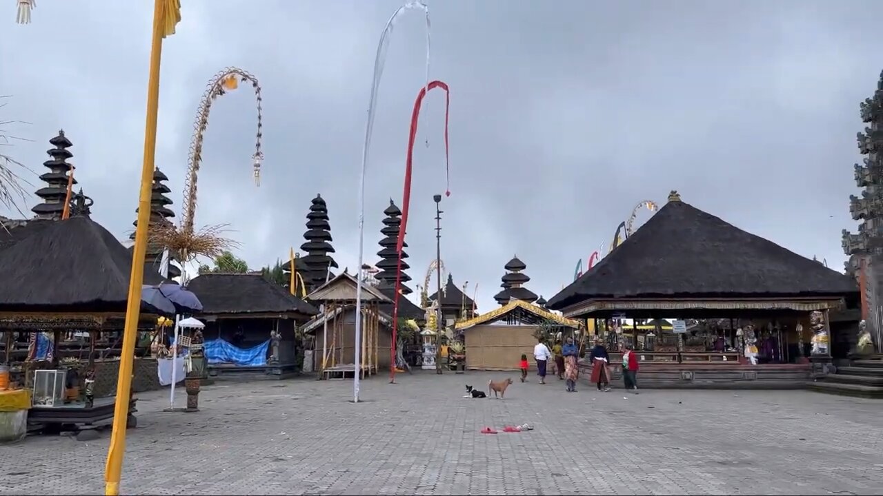 Day 4 Bali | Indonesia #bali #indonesia #travel #vlog