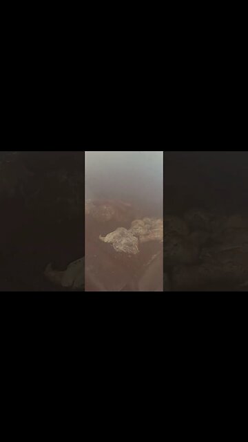 #grillingandchilling pork and chicken with fosters