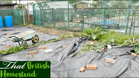 May Allotment Tour 2022: Spring Gardening