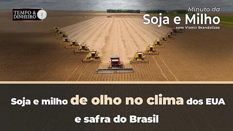 Soja e milho de olho no clima dos EUA e safra do Brasil. Brandalizze comenta o que vem pela frente