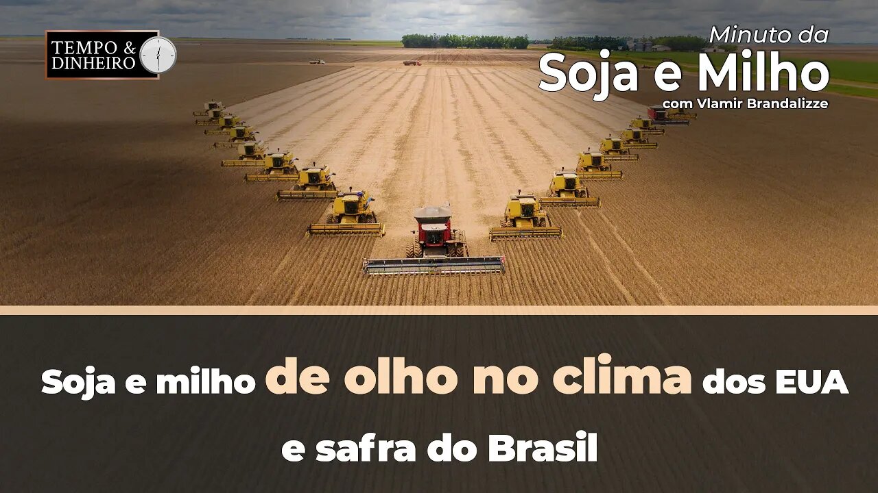 Soja e milho de olho no clima dos EUA e safra do Brasil. Brandalizze comenta o que vem pela frente