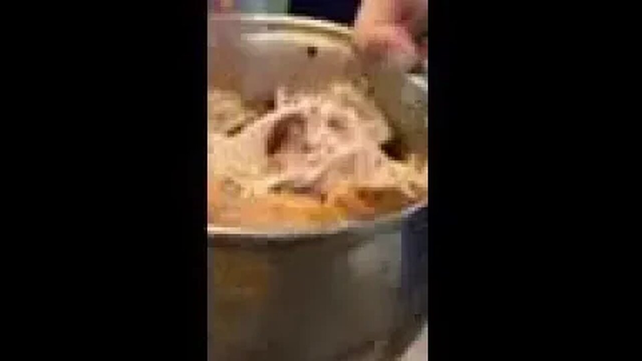 I Am Trying To Enjoy My Chicken!