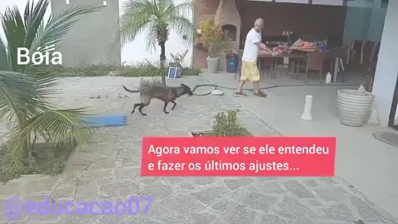 O INÍCIO DOS TREINOS .....