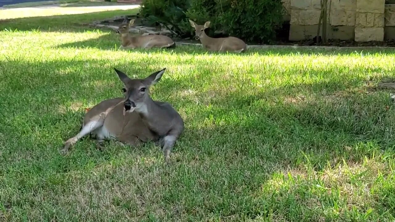 My friend Floppy.