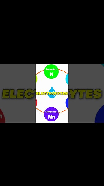 ARE YOU GETTING PROPER *DIGESTIVE SUPPORT!!*🍴👅😩